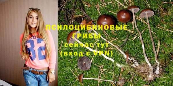 мескалин Беломорск