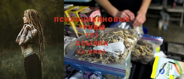 стафф Белокуриха