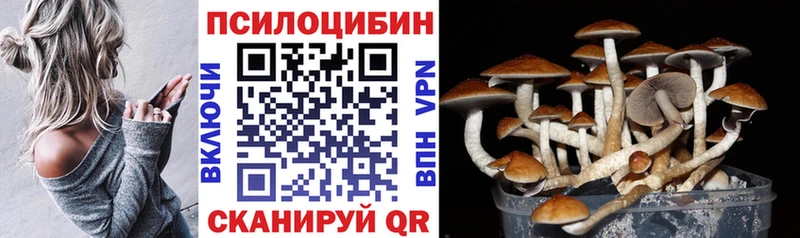 Галлюциногенные грибы GOLDEN TEACHER mega дарк нет Telegram Кирс