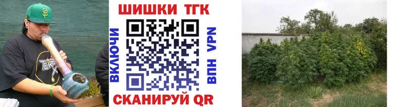 Канабис марихуана Кирс